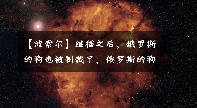 【波索爾】繼貓之后，俄羅斯的狗也被制裁了，俄羅斯的狗有哪些品種