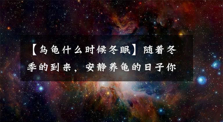 【烏龜什么時(shí)候冬眠】隨著冬季的到來(lái)，安靜養(yǎng)龜?shù)娜兆幽阌质侨绾伟才诺模?></a></div> <div   id=