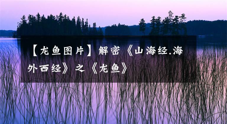 【龍魚(yú)圖片】解密《山海經(jīng).海外西經(jīng)》之《龍魚(yú)》