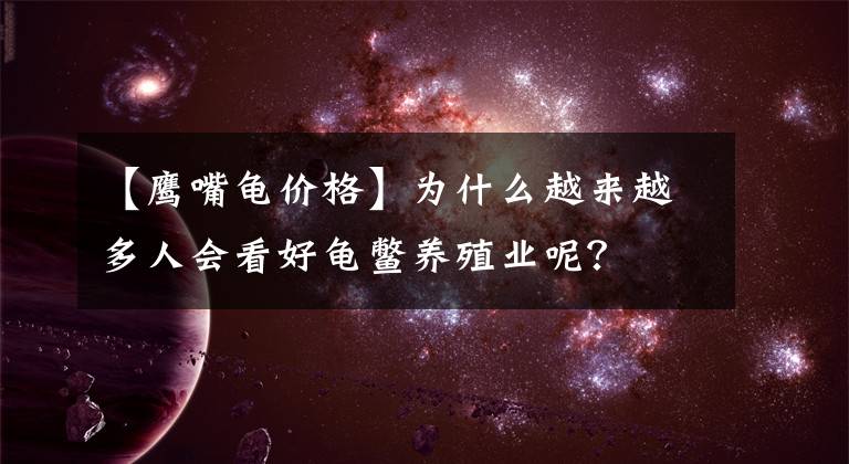 【鷹嘴龜價(jià)格】為什么越來越多人會(huì)看好龜鱉養(yǎng)殖業(yè)呢？