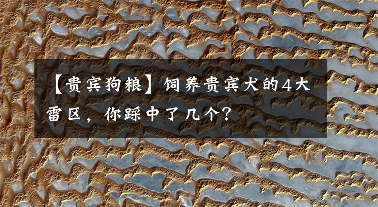 【貴賓狗糧】飼養(yǎng)貴賓犬的4大雷區(qū)，你踩中了幾個(gè)？