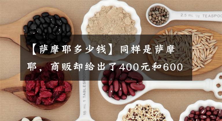 【薩摩耶多少錢】同樣是薩摩耶，商販卻給出了400元和600元兩個批發(fā)價格？