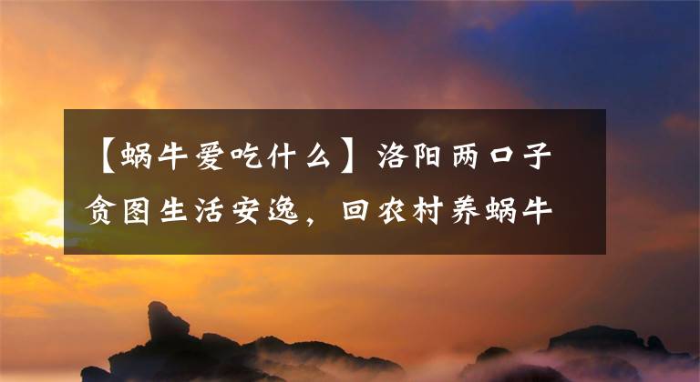 【蝸牛愛吃什么】洛陽兩口子貪圖生活安逸，回農(nóng)村養(yǎng)蝸牛，沒咋上心年收入過十萬