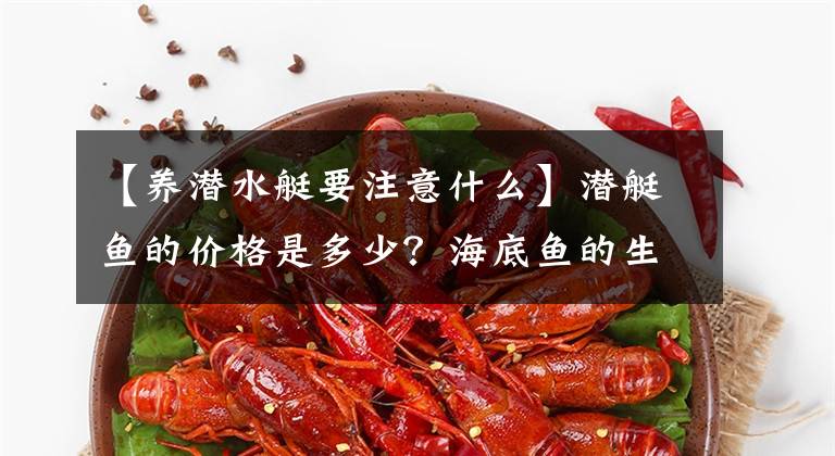 【養(yǎng)潛水艇要注意什么】潛艇魚的價(jià)格是多少？海底魚的生活習(xí)慣和飼養(yǎng)技術(shù)！