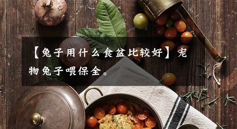 【兔子用什么食盆比較好】寵物兔子喂保全。