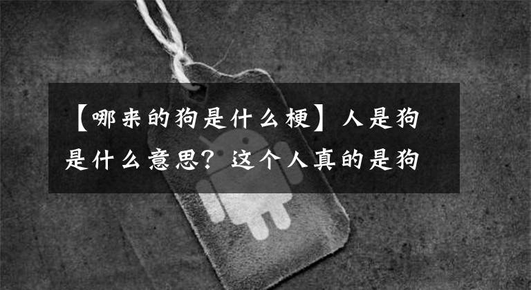 【哪來的狗是什么?！咳耸枪肥鞘裁匆馑迹窟@個(gè)人真的是狗梗方言的來源。