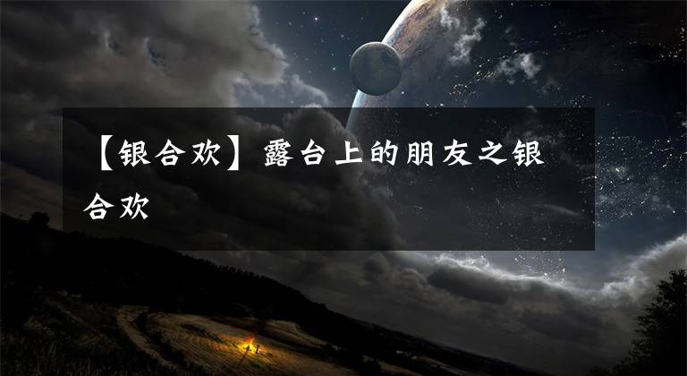 【銀合歡】露臺(tái)上的朋友之銀合歡