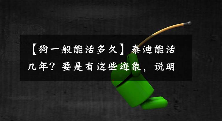 【狗一般能活多久】泰迪能活幾年？要是有這些跡象，說明它老了