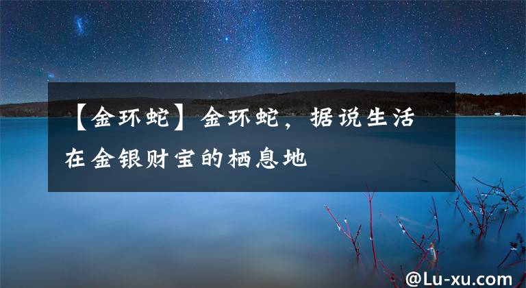 【金環(huán)蛇】金環(huán)蛇，據(jù)說生活在金銀財寶的棲息地