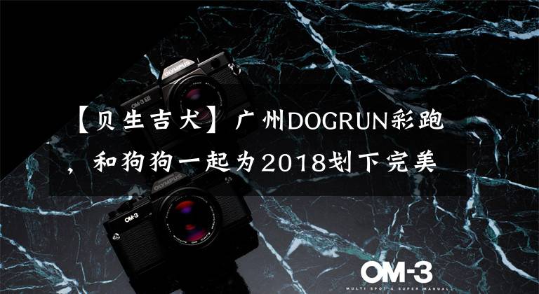 【貝生吉犬】廣州DOGRUN彩跑，和狗狗一起為2018劃下完美句號(hào)