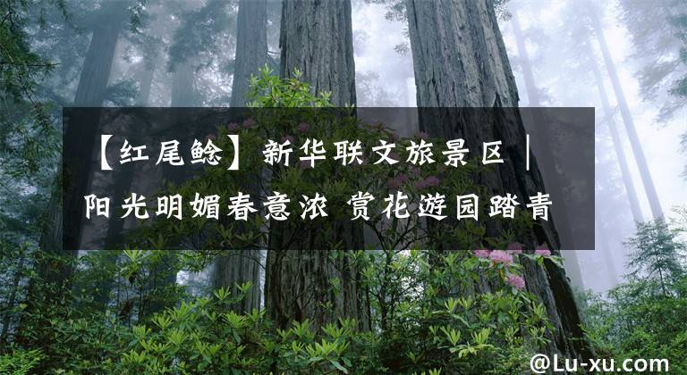 【紅尾鯰】新華聯文旅景區(qū)｜陽光明媚春意濃 賞花游園踏青忙