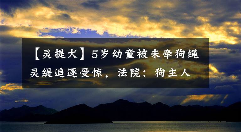 【靈提犬】5歲幼童被未牽狗繩靈緹追逐受驚，法院：狗主人應(yīng)賠禮道歉