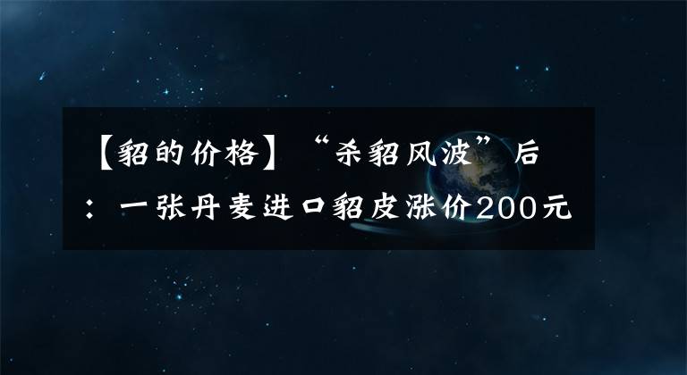 【貂的價格】“殺貂風波”后：一張丹麥進口貂皮漲價200元，一件大衣成本增千元