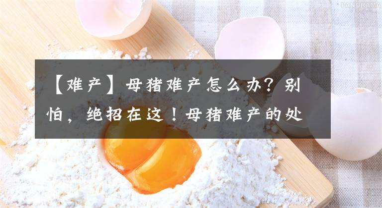 【難產(chǎn)】母豬難產(chǎn)怎么辦？別怕，絕招在這！母豬難產(chǎn)的處理方法，快收藏吧