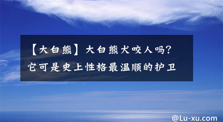 【大白熊】大白熊犬咬人嗎？它可是史上性格最溫順的護(hù)衛(wèi)犬哦