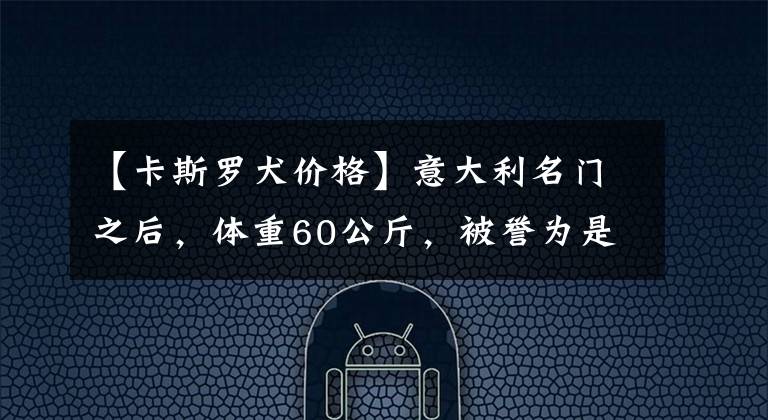 【卡斯羅犬價(jià)格】意大利名門(mén)之后，體重60公斤，被譽(yù)為是最經(jīng)典的家庭護(hù)衛(wèi)犬