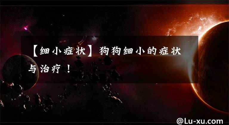 【細(xì)小癥狀】狗狗細(xì)小的癥狀與治療！