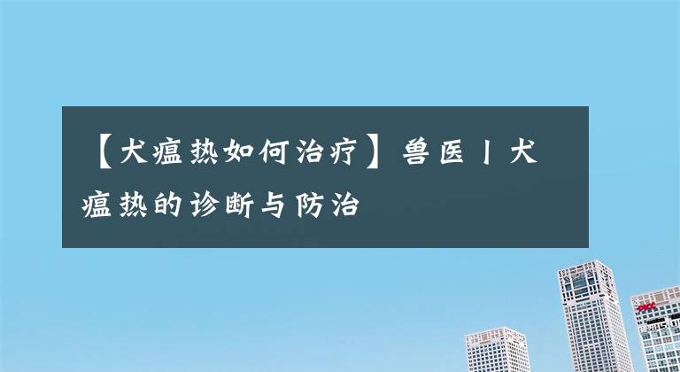 【犬瘟熱如何治療】獸醫(yī)丨犬瘟熱的診斷與防治