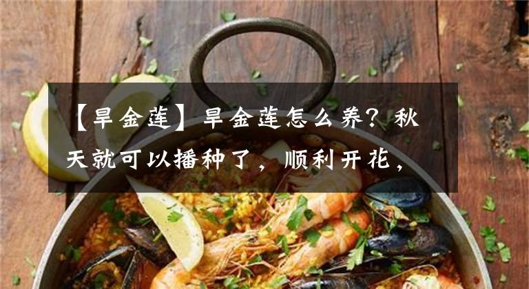 【旱金蓮】旱金蓮怎么養(yǎng)？秋天就可以播種了，順利開花，放陽臺(tái)很出彩