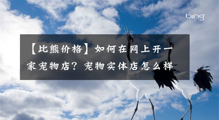 【比熊價格】如何在網上開一家寵物店？寵物實體店怎么樣在網上賣貓狗寵物？