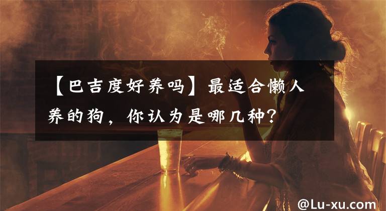 【巴吉度好養(yǎng)嗎】最適合懶人養(yǎng)的狗，你認(rèn)為是哪幾種？