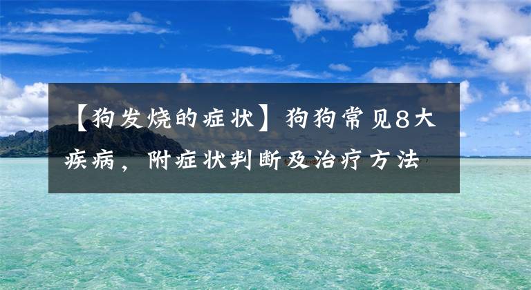 【狗發(fā)燒的癥狀】狗狗常見8大疾病，附癥狀判斷及治療方法