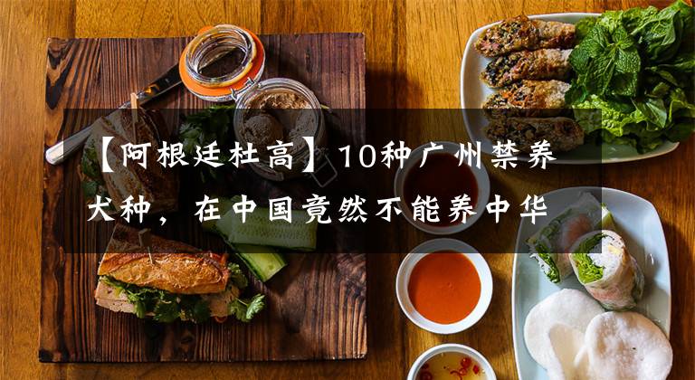 【阿根廷杜高】10種廣州禁養(yǎng)犬種，在中國(guó)竟然不能養(yǎng)中華田園犬？