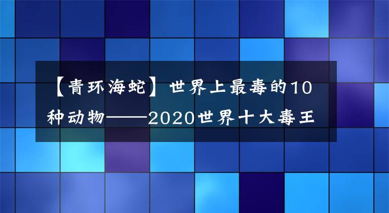 【青環(huán)海蛇】世界上最毒的10種動物——2020世界十大毒王