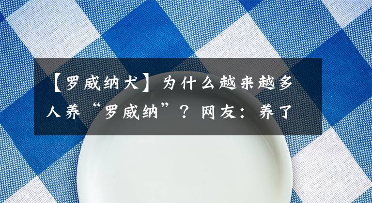 【羅威納犬】為什么越來越多人養(yǎng)“羅威納”？網(wǎng)友：養(yǎng)了就不想換狗了