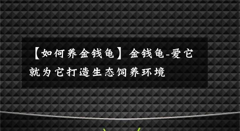 【如何養(yǎng)金錢龜】金錢龜-愛它就為它打造生態(tài)飼養(yǎng)環(huán)境