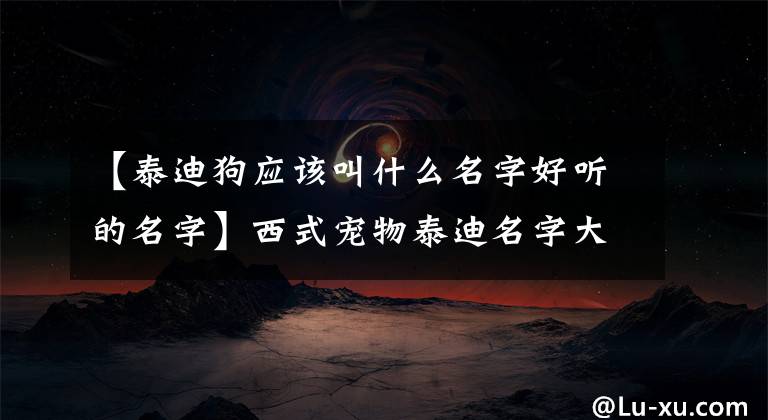 【泰迪狗應(yīng)該叫什么名字好聽的名字】西式寵物泰迪名字大全是小卷發(fā)-可愛的一點(diǎn)