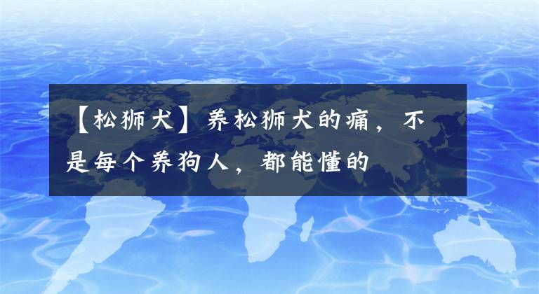 【松獅犬】養(yǎng)松獅犬的痛，不是每個(gè)養(yǎng)狗人，都能懂的