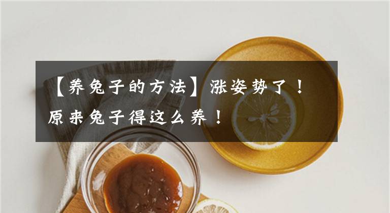 【養(yǎng)兔子的方法】漲姿勢(shì)了！原來兔子得這么養(yǎng)！