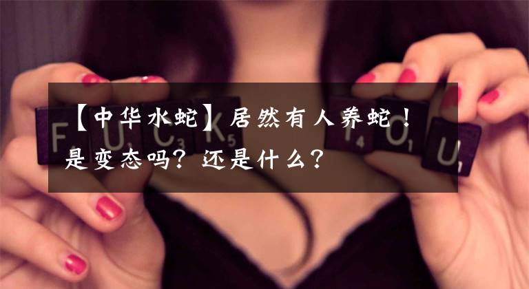 【中華水蛇】居然有人養(yǎng)蛇！是變態(tài)嗎？還是什么？