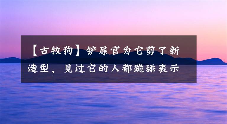 【古牧狗】鏟屎官為它剪了新造型，見過它的人都跪舔表示想要跟它交朋友！