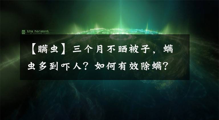 【瞞蟲】三個月不曬被子，螨蟲多到嚇人？如何有效除螨？告訴你答案