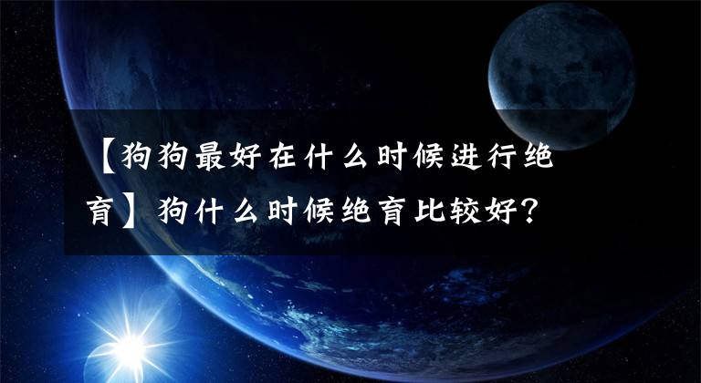 【狗狗最好在什么時(shí)候進(jìn)行絕育】狗什么時(shí)候絕育比較好？