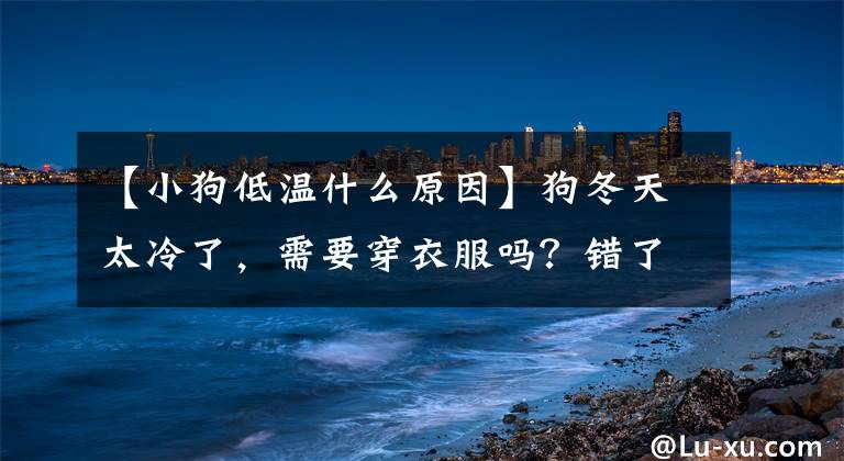 【小狗低溫什么原因】狗冬天太冷了，需要穿衣服嗎？錯(cuò)了！有些狗根本不需要。