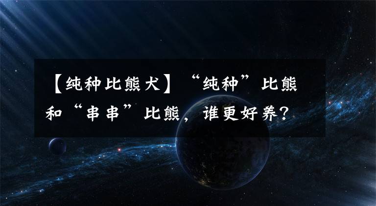 【純種比熊犬】“純種”比熊和“串串”比熊，誰更好養(yǎng)？