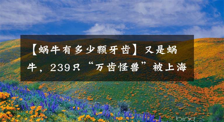 【蝸牛有多少顆牙齒】又是蝸牛，239只“萬齒怪獸”被上海海關(guān)截獲，蝸牛破壞力有多強(qiáng)