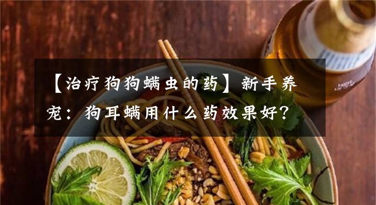 【治療狗狗螨蟲的藥】新手養(yǎng)寵：狗耳螨用什么藥效果好？處理耳螨的三個(gè)步驟參考