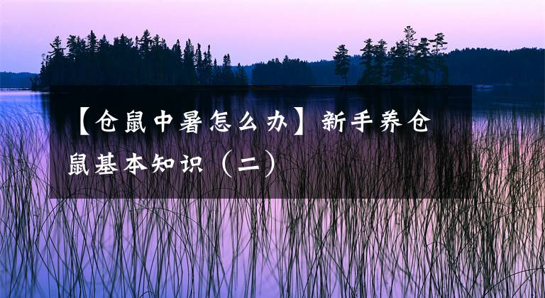 【倉(cāng)鼠中暑怎么辦】新手養(yǎng)倉(cāng)鼠基本知識(shí)（二）