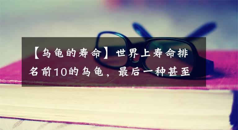 【烏龜?shù)膲勖渴澜缟蠅勖琶?0的烏龜，最后一種甚至可以當做傳家寶！