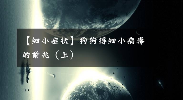 【細(xì)小癥狀】狗狗得細(xì)小病毒的前兆（上）