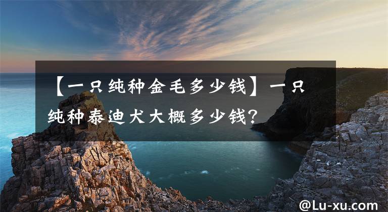 【一只純種金毛多少錢(qián)】一只純種泰迪犬大概多少錢(qián)？