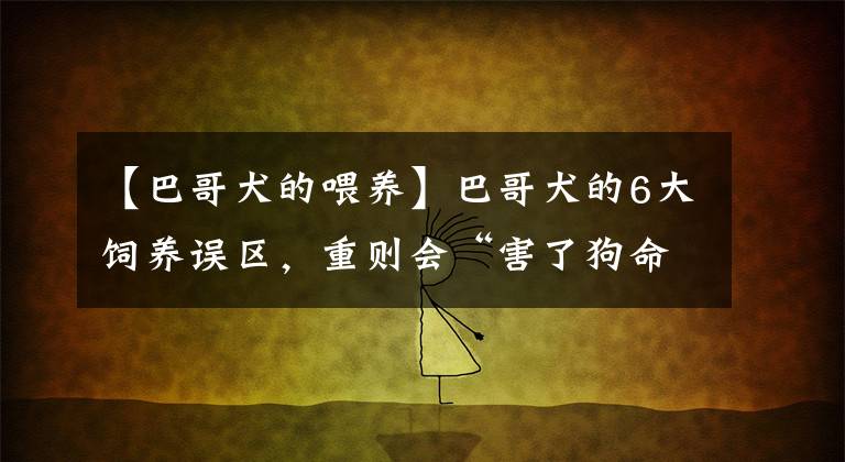 【巴哥犬的喂養(yǎng)】巴哥犬的6大飼養(yǎng)誤區(qū)，重則會“害了狗命”