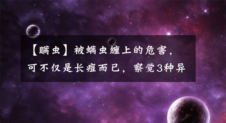 【瞞蟲】被螨蟲纏上的危害，可不僅是長痘而已，察覺3種異常，及時祛螨