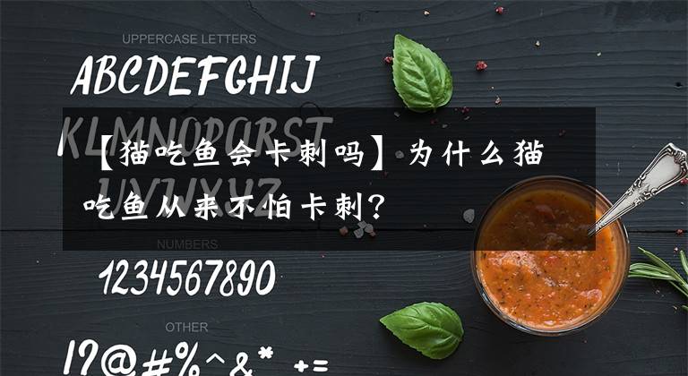 【貓吃魚會(huì)卡刺嗎】為什么貓吃魚從來不怕卡刺？