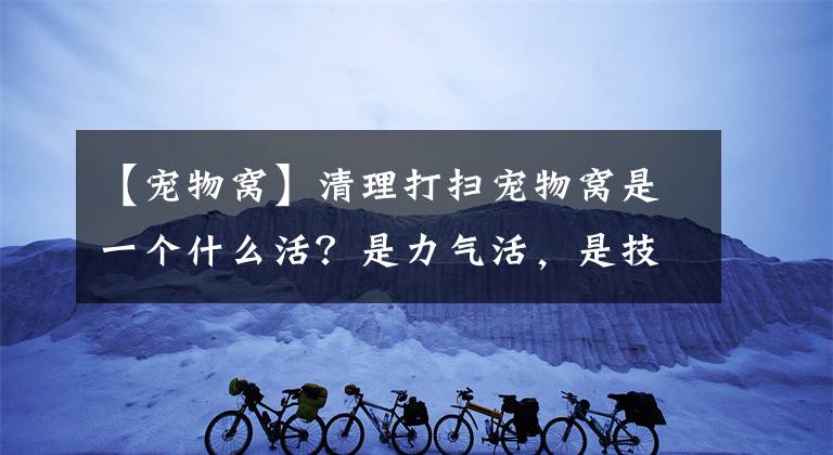 【寵物窩】清理打掃寵物窩是一個(gè)什么活？是力氣活，是技術(shù)活，也是愛心活