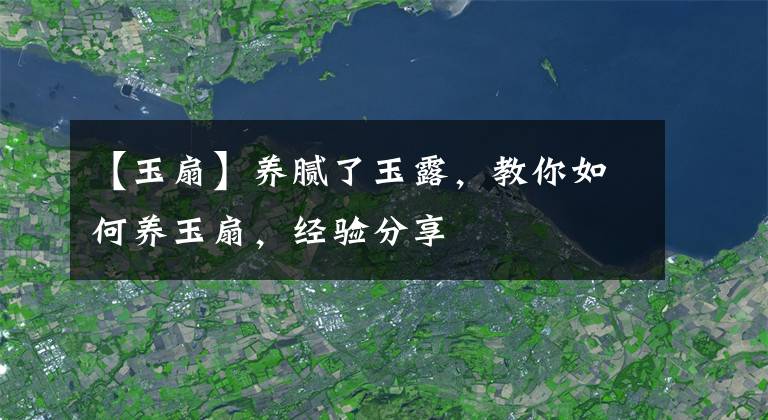 【玉扇】養(yǎng)膩了玉露，教你如何養(yǎng)玉扇，經(jīng)驗(yàn)分享